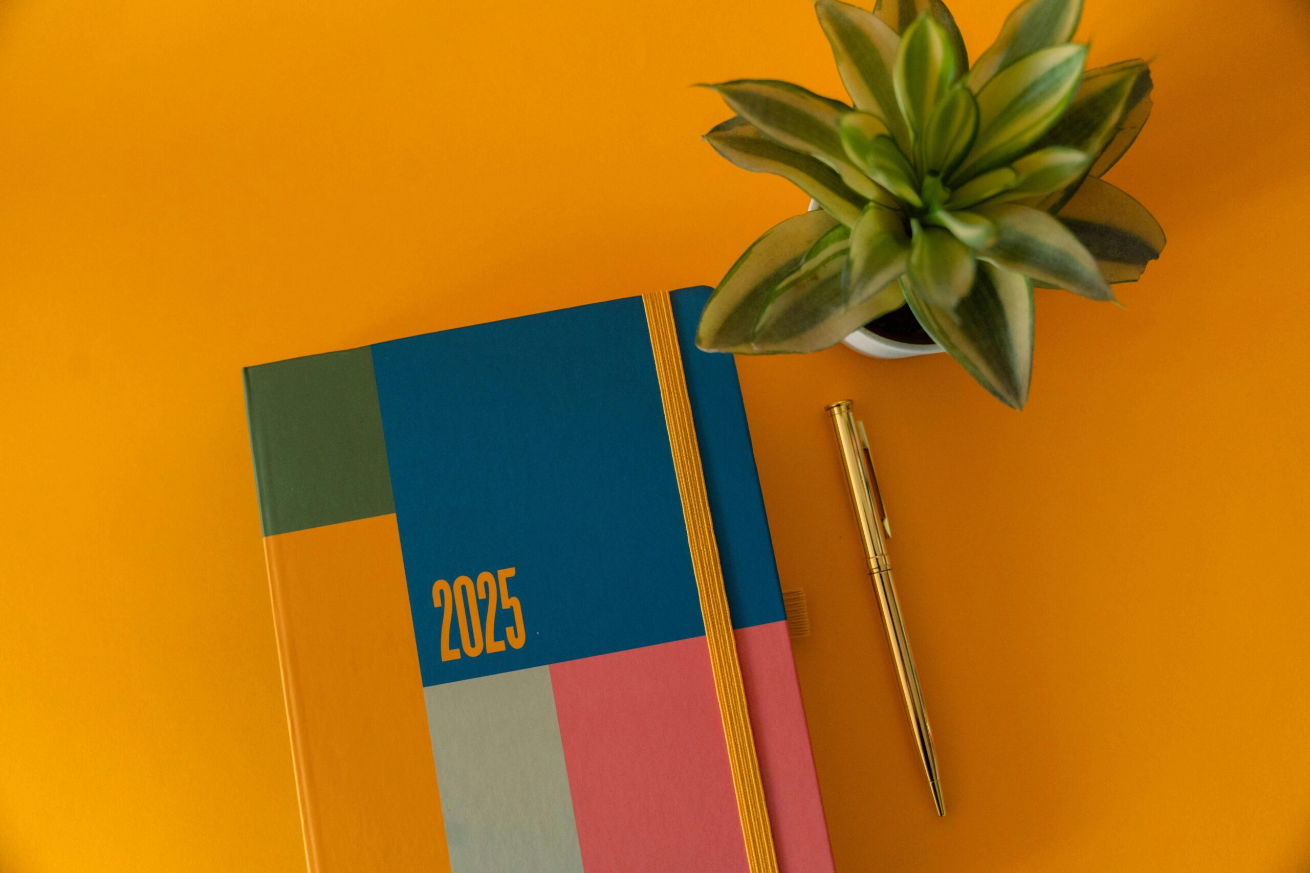 Vibrant 2025 planner on colorful background with a plant and gold pen, ideal for planning.